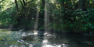 DSCN0623s.jpg