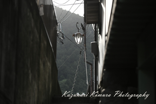 850_7524kss.jpg